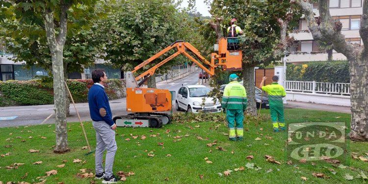 Comienza la poda en Castro Urdiales
