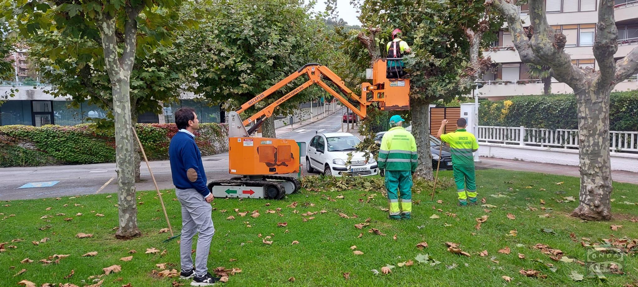 Comienza la poda en Castro Urdiales