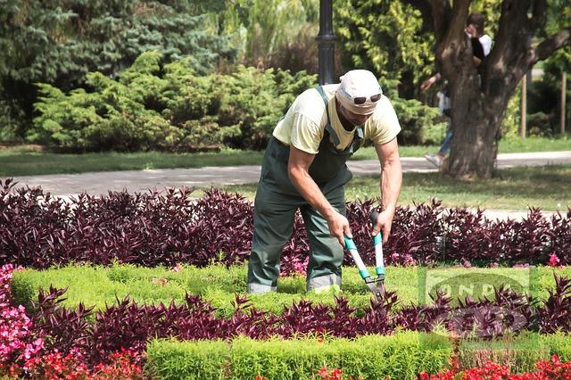 Subvención regional al Ayuntamiento de Castro para actividades de jardinería