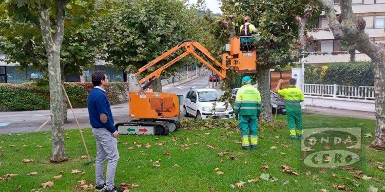 Nuevo contrato de parques y jardines