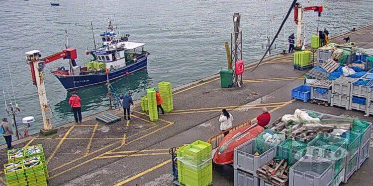 Menos pesca y menos ingresos en la Cofradía castreña
