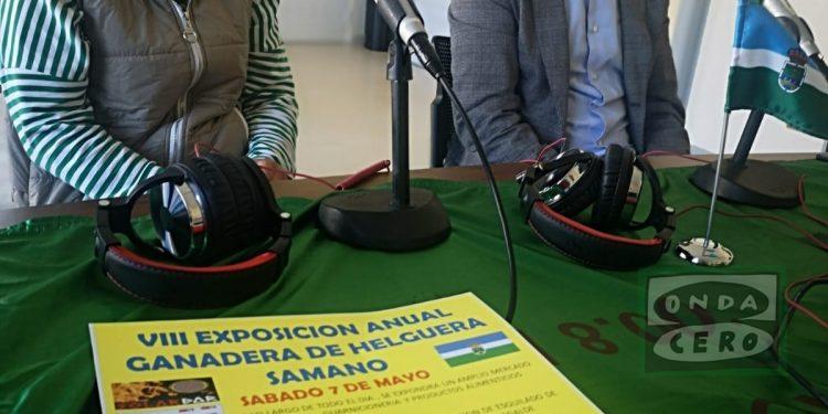600 cabezas de ganado acudirán a la VIII feria anual de Helguera este sábado