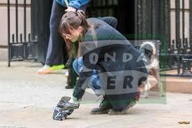 El Ayuntamiento de Castro Urdiales repartirá 2.000 botellas de limpieza para reducir la suciedad de los excremento de perros en las calles