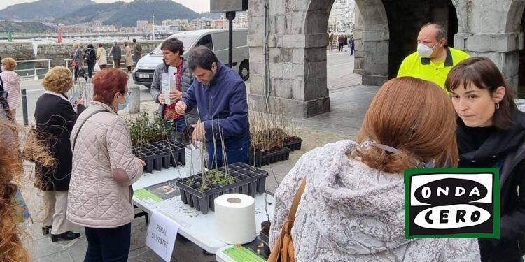 Castro se suma al Día de los bosques con una campaña de donación de distintas especies de arbolado autóctono
