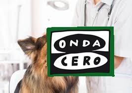 Solicitud de licencia de obra y actividad para la apertura de una clínica veterinaria en Islares