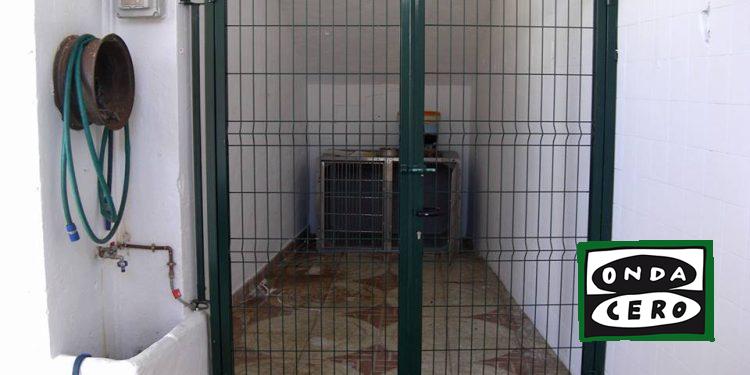 El Ayuntamiento licita el contrato del servicio de recogida y mantenimiento de animales abandonados o extraviados