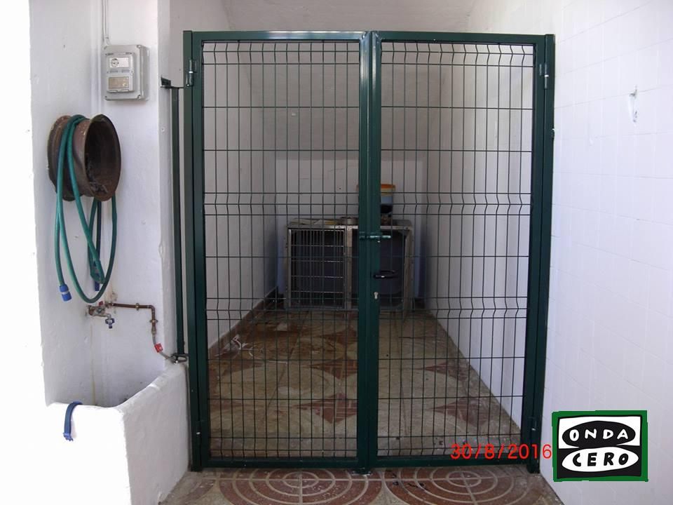 El Ayuntamiento licita el contrato del servicio de recogida y mantenimiento de animales abandonados o extraviados