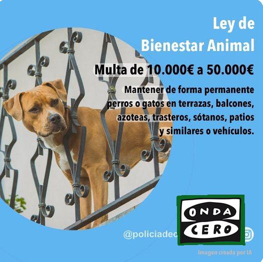 El 29 de septiembre entra en vigor la nueva ley de bienestar animal