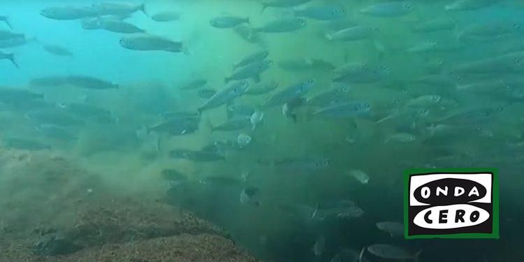 Podemos-IU reclama mayor implicación de MARE para solucionar los problemas de la fuga no reparada en el emisario submarino de la EDAR de Castro