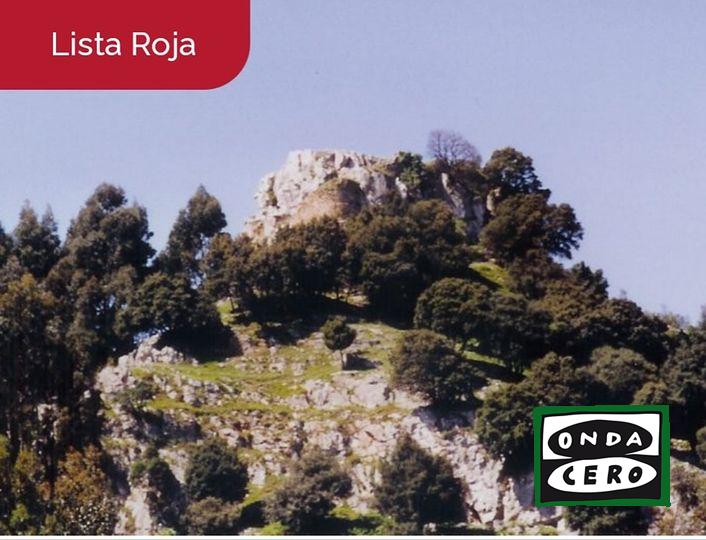 Hispania Nostra advierte del riesgo de desaparición del Castillo de los templarios de Allendelagua