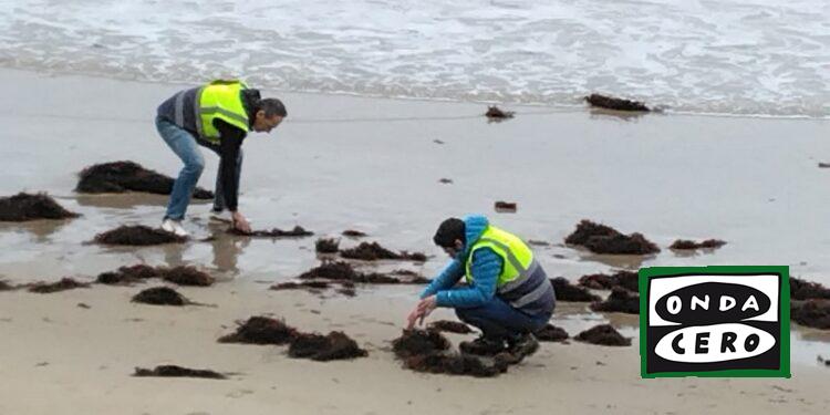 Cantabria eleva a nivel 2 el PLATERCANT para poder solicitar la intervención del Gobierno central en alta mar y evitar la llegada masiva de pellets a la costa
