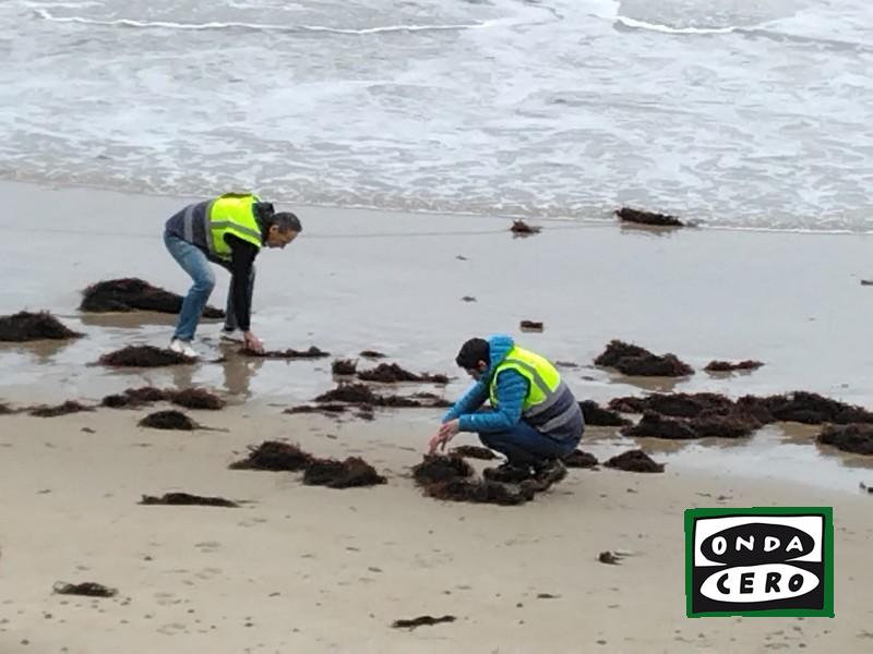 Cantabria eleva a nivel 2 el PLATERCANT para poder solicitar la intervención del Gobierno central en alta mar y evitar la llegada masiva de pellets a la costa