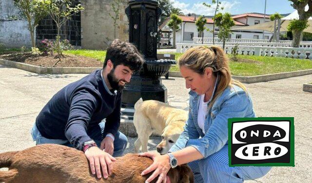 El PP propone la construcción este año de un parque canino en una parcela próxima al colegio Santa Catalina de Castro Urdiales para fomentar las políticas ‘Dog-Friendly’