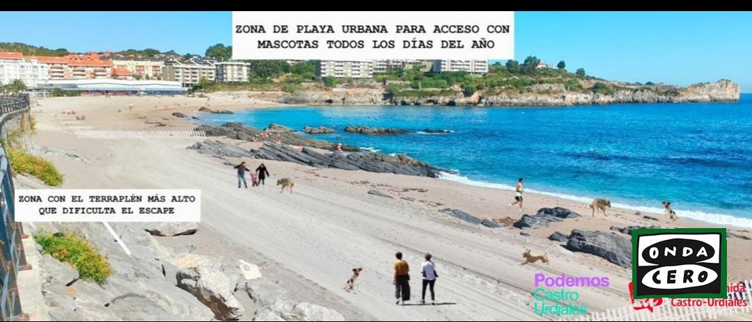 Podemos-IU plantean acotar una zona en la playa de Ostende para el acceso con mascotas durante todo el año