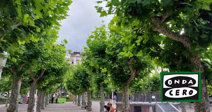 CastroVerde, contrario a la retirada de árboles en la reforma de la Plaza de la Barrera de Castro Urdiales