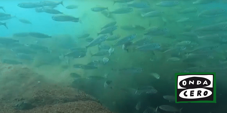 El Gobierno regional licitará en unos días las obras de reparación del emisario submarino de la EDAR de Castro para acabar con los vertidos fecales al mar