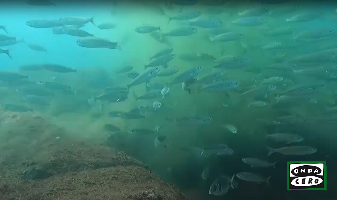 El Gobierno regional licitará en unos días las obras de reparación del emisario submarino de la EDAR de Castro para acabar con los vertidos fecales al mar