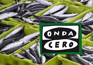 El Presidente de las Cofradías de Cantabria pide un Plan de recuperación del verdel para evitar que desaparezca