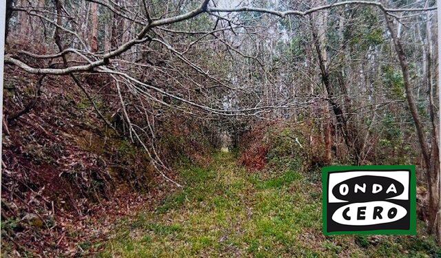 El Ayuntamiento de Castro Urdiales impulsa la restauración ecológica de una parcela degradada en el entorno de la Tejera