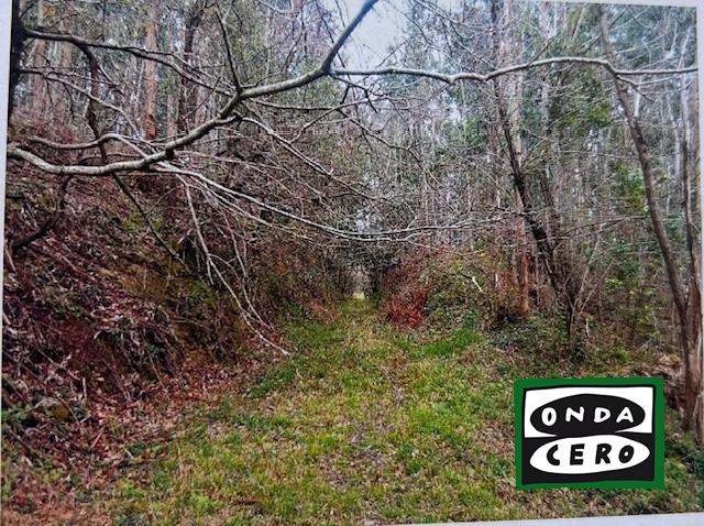 El Ayuntamiento de Castro Urdiales impulsa la restauración ecológica de una parcela degradada en el entorno de la Tejera