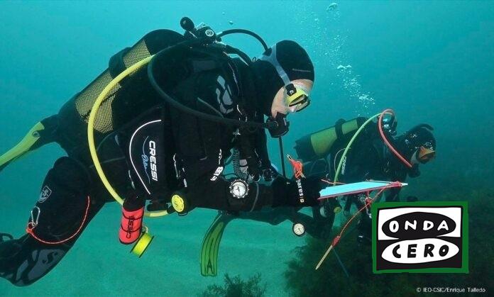 El Ayuntamiento de Castro Urdiales impulsa charlas de concienciación sobre la riqueza del patrimonio marino dirigidas al público infantil y adolescente
